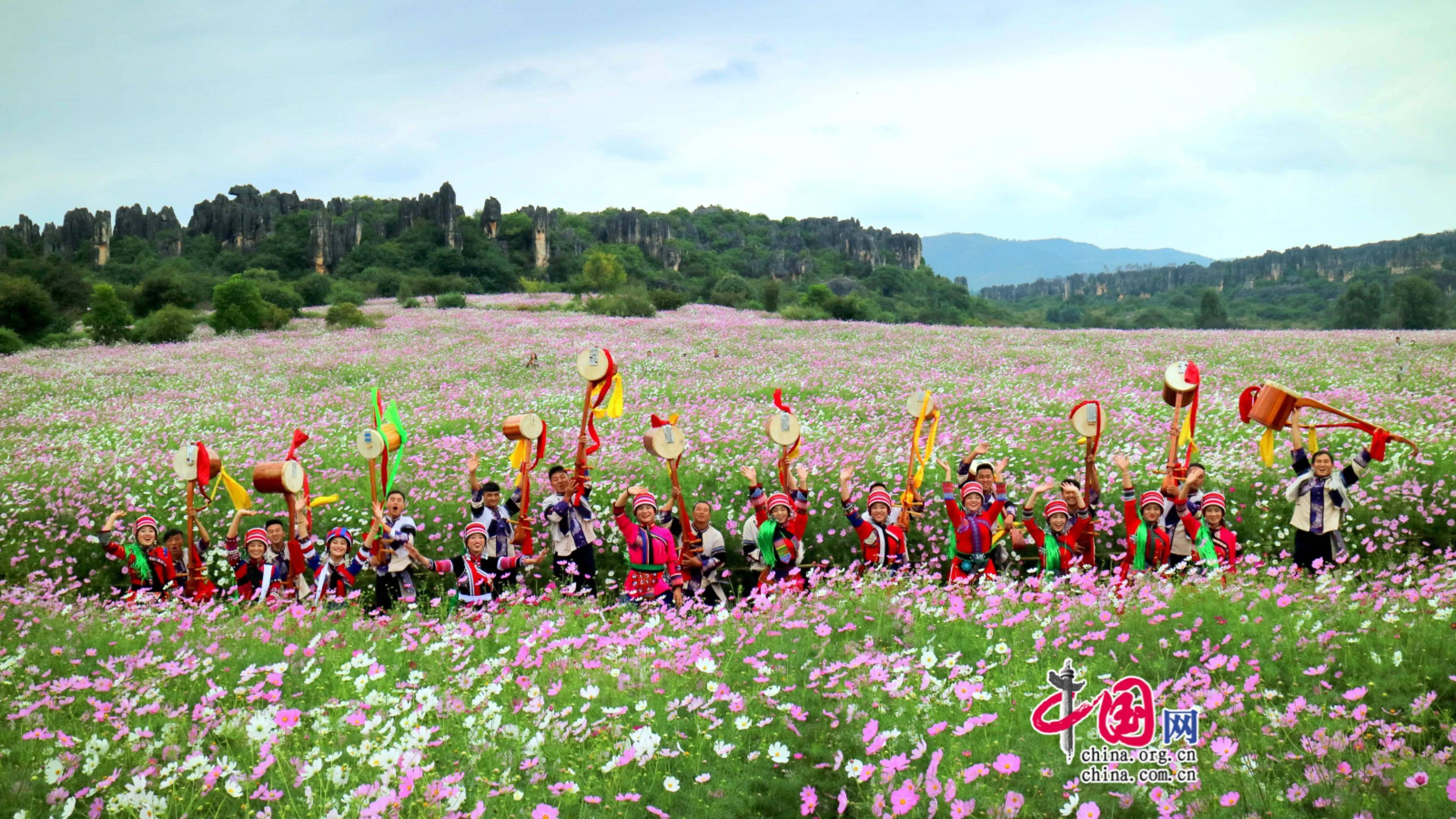 云南石林发出乃古飞花令 秋游赏花正当时_花海