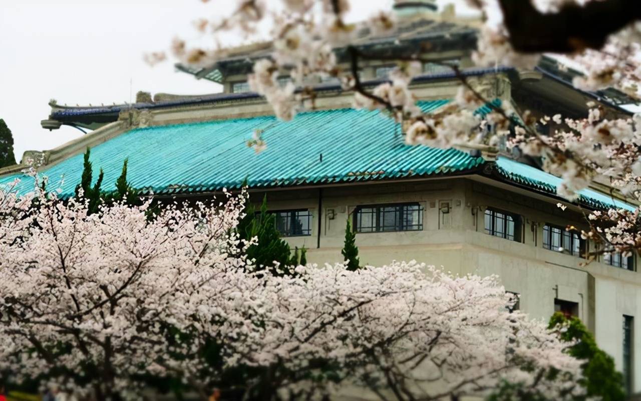 原创中国高校学科实力100强名单:扬州大学领衔双非,武汉大学居第5名