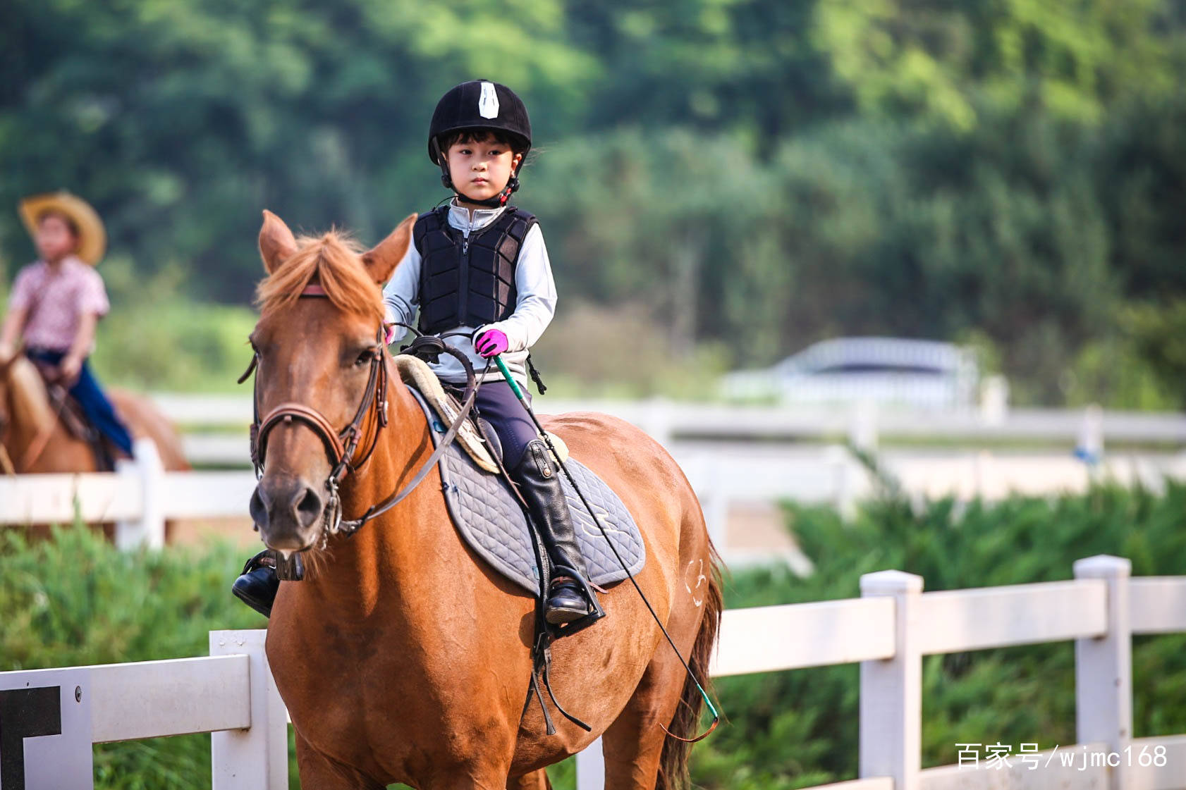 无疆牧场儿童马术运动为什么要进行马匹打圈