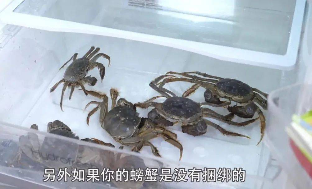 便民螃蟹这4个部位千万不能吃这样保存半个月一样鲜活