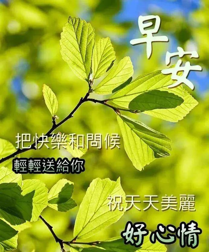 早晨的鲜花美丽无比,早晨的空气新鲜无比,早晨的心情舒畅无比,祝你