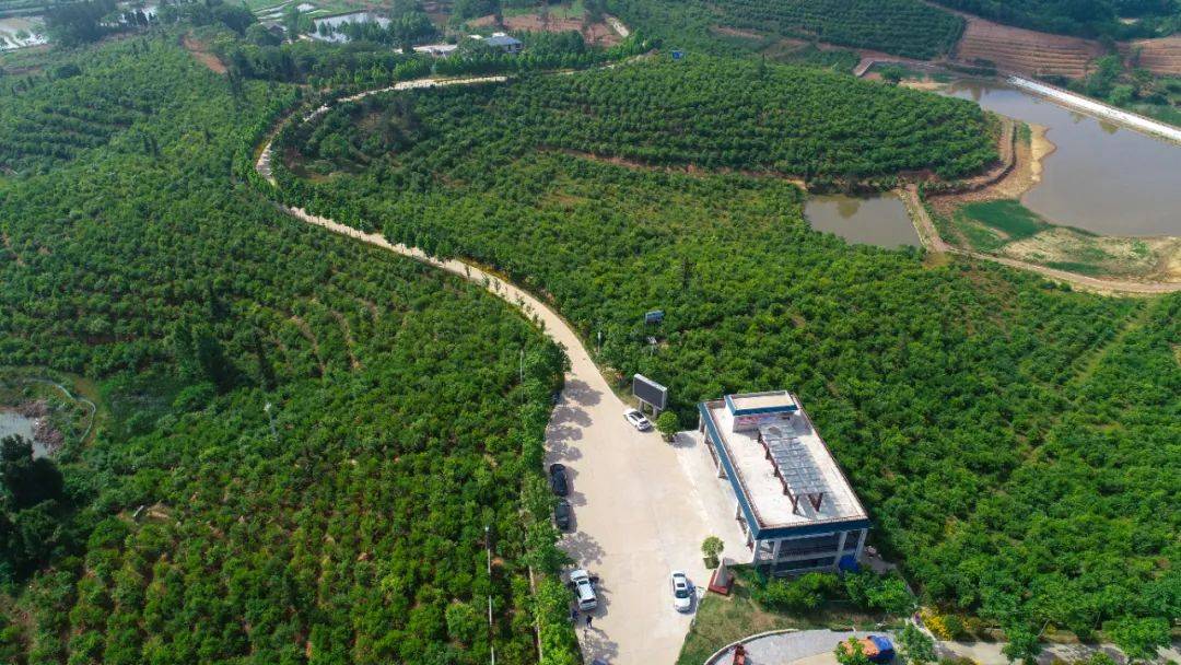 国庆全域游光山,七条线路任你选!