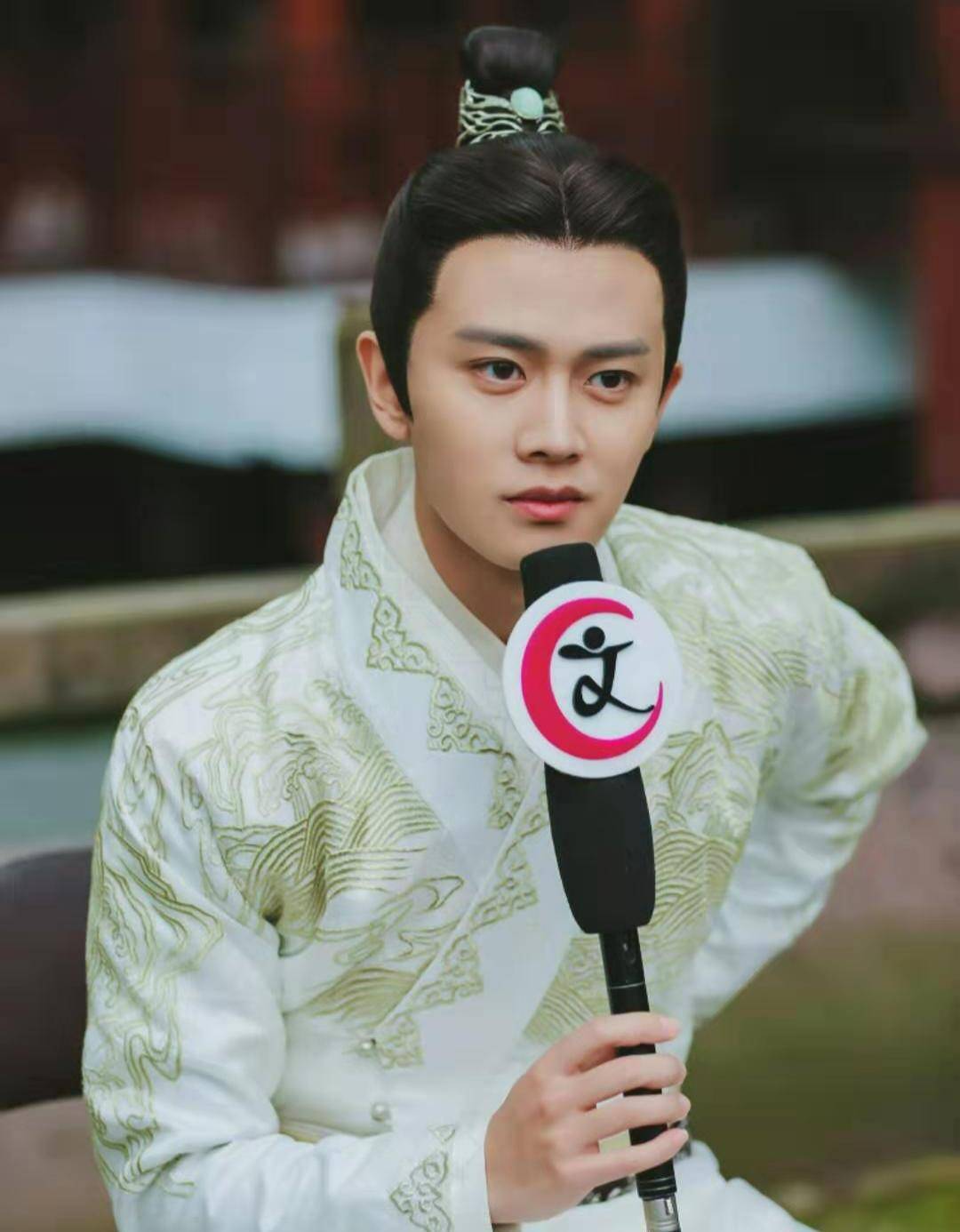 只不过,2017年播出的,由杨紫,秦俊杰联合主演的那部《龙珠传奇之无间