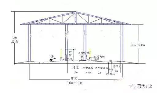 小型养牛场平面设计,10头牛场设规划方案!_牛圈