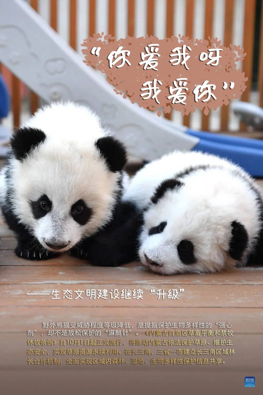 大熊猫虽然"降级"了