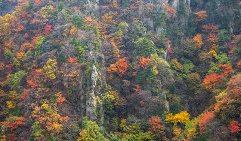 平顶山旅游景点介绍,平顶山好玩地方推荐,平顶山著名