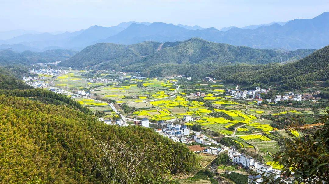 农村人居环境整治提升丨"花园乡村"看丽水系列遂昌县三仁乡坑口村