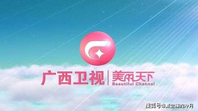 我国省级卫视频道口号东部12家其中一个多次与他台合作