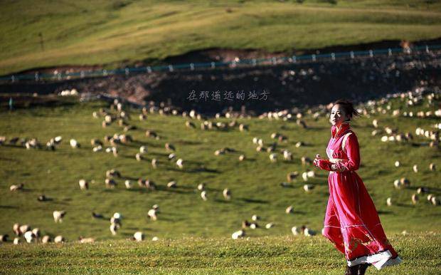 王洛宾被一位美丽的藏族姑娘打了一马鞭打出一首传世名曲