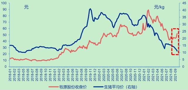 9月以来牧原股份股价走势与生猪价格背离明显