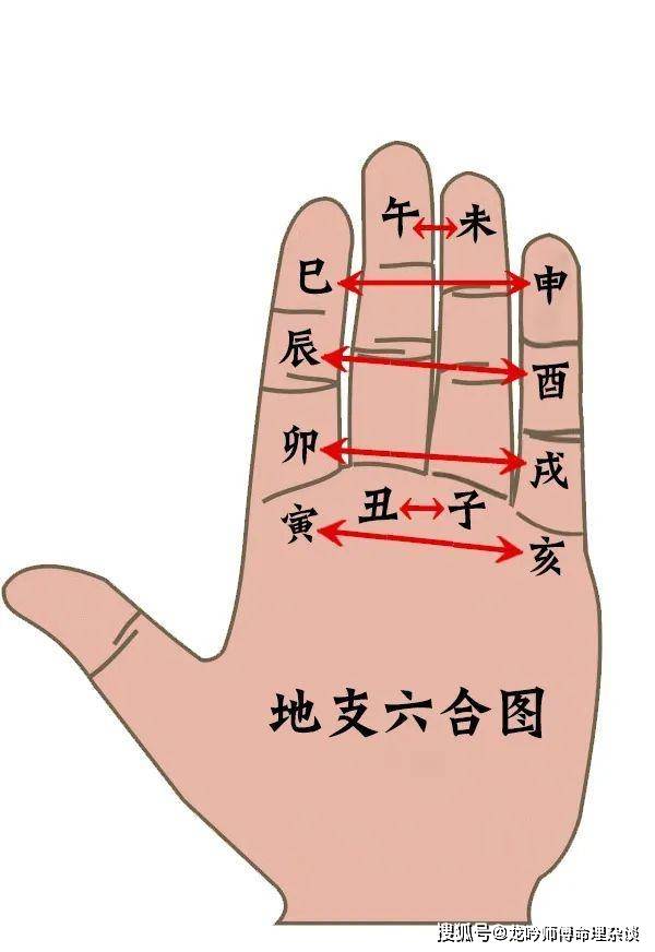 初学易时常用的六种地支掌诀