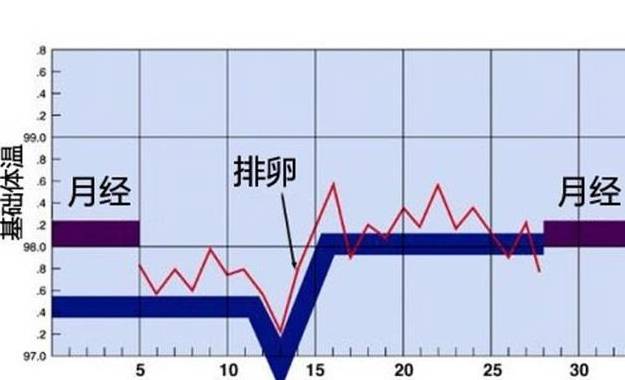 备孕很久,却一直没怀上？或许你该从这3个＂方面＂找找原因！