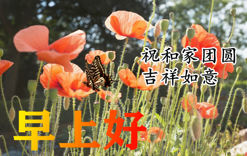 10月23日有创意霜降漂亮的早上好问候图 霜降早上问候