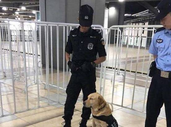 原创小警犬地铁执勤眼看就要撑不住了人家只是个想睡觉觉的小孩子
