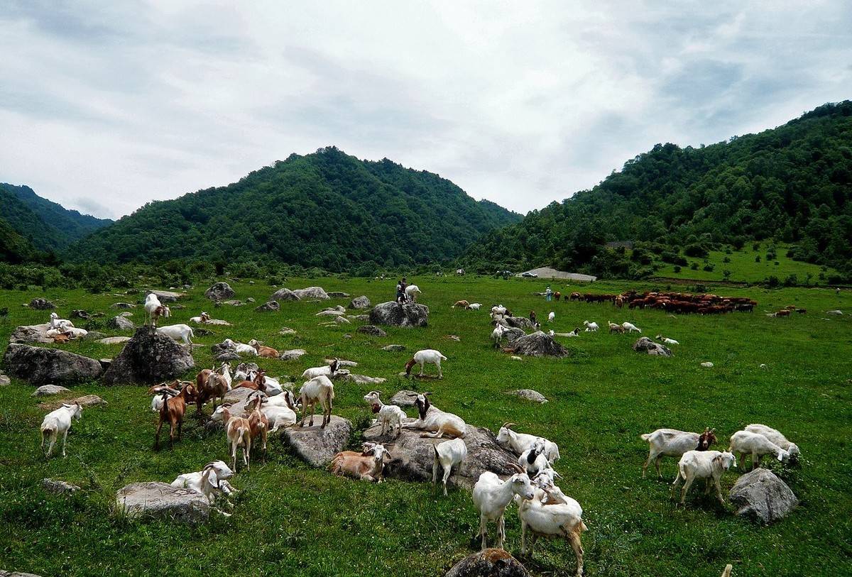 下午:九子沟/紫柏山/情人谷/光华山第三天:张良庙来到留坝,一定不能