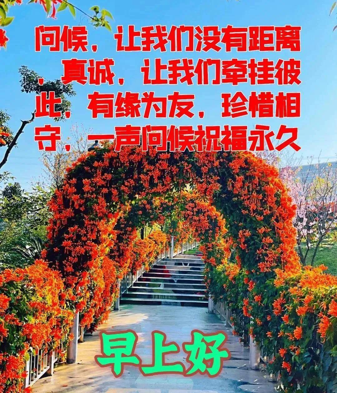 2021年11月16日星期二清晨早上好问候祝福图片 周二最新早安问候祝福