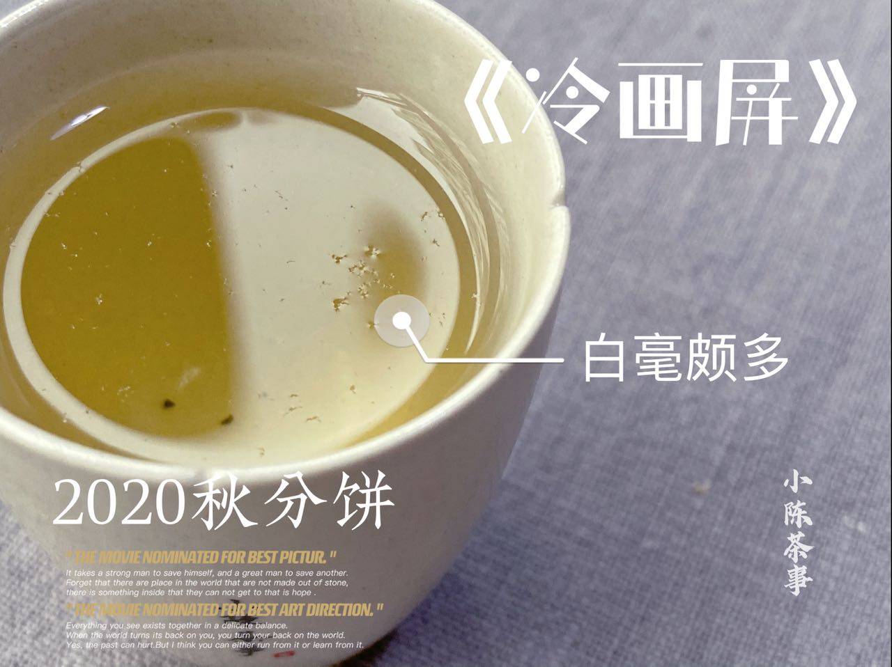 原创春白茶饼与秋白茶饼的区别从芽头叶片到茶梗手把手教你分辨