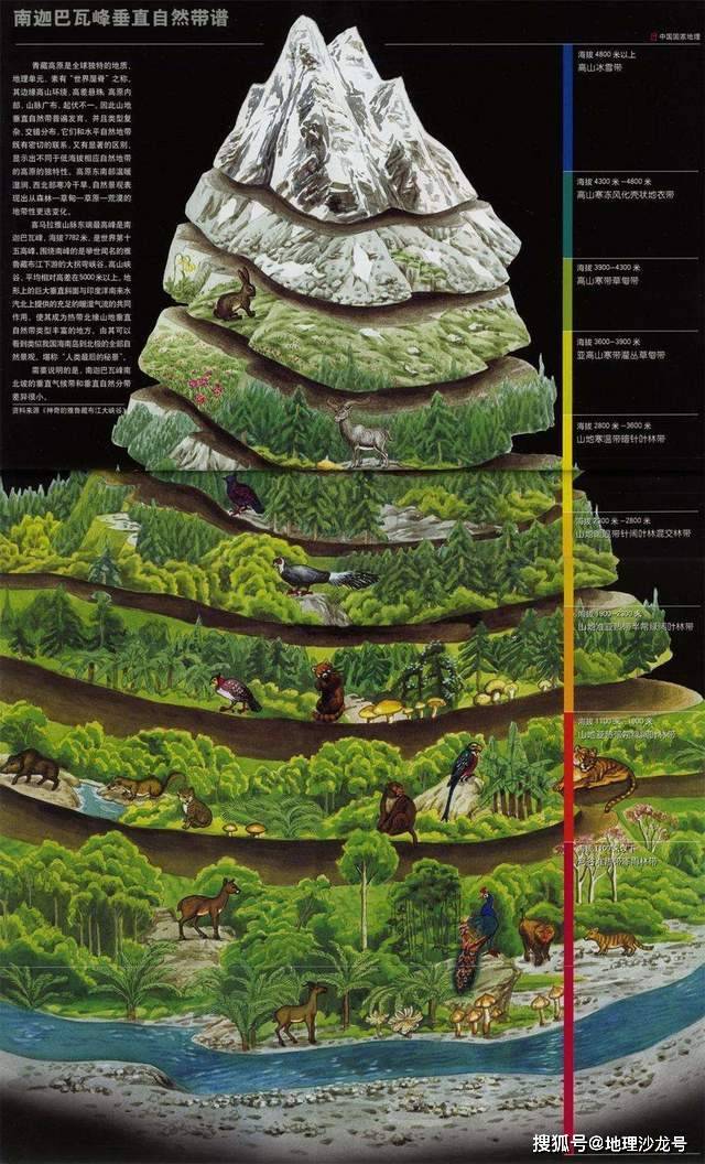 原创为什么雅鲁藏布江谷地的山麓植被与同纬度地区有较大差异