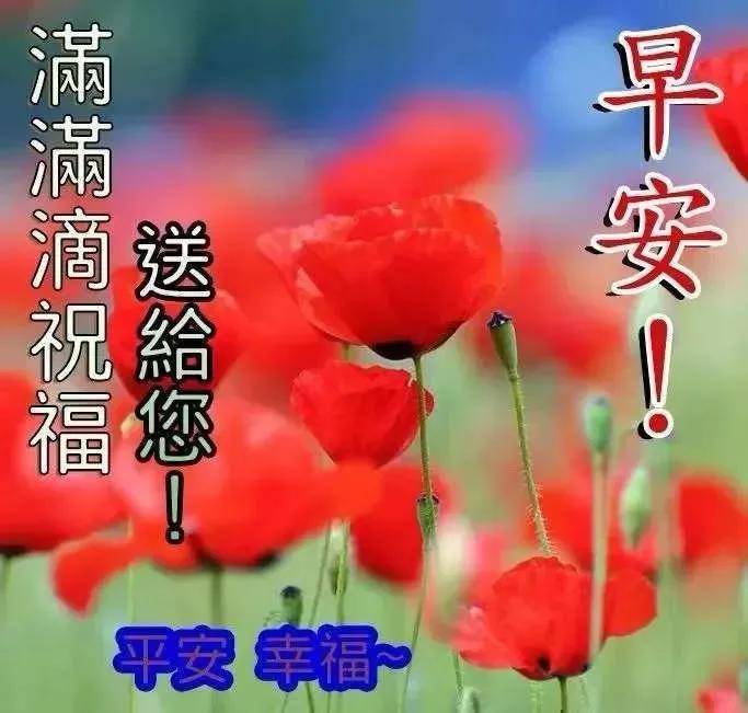 十一月漂亮的疫情早上好祝福语带图片 微信早安动态免