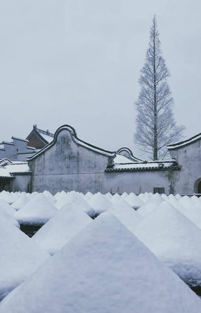 小雪降临乌镇冬日雪景美图先给您安排上了速来围观