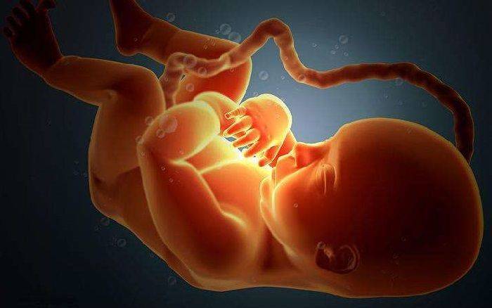 胎儿为什么会脐带绕颈？多数人以为是受睡姿影响,真相让人意外