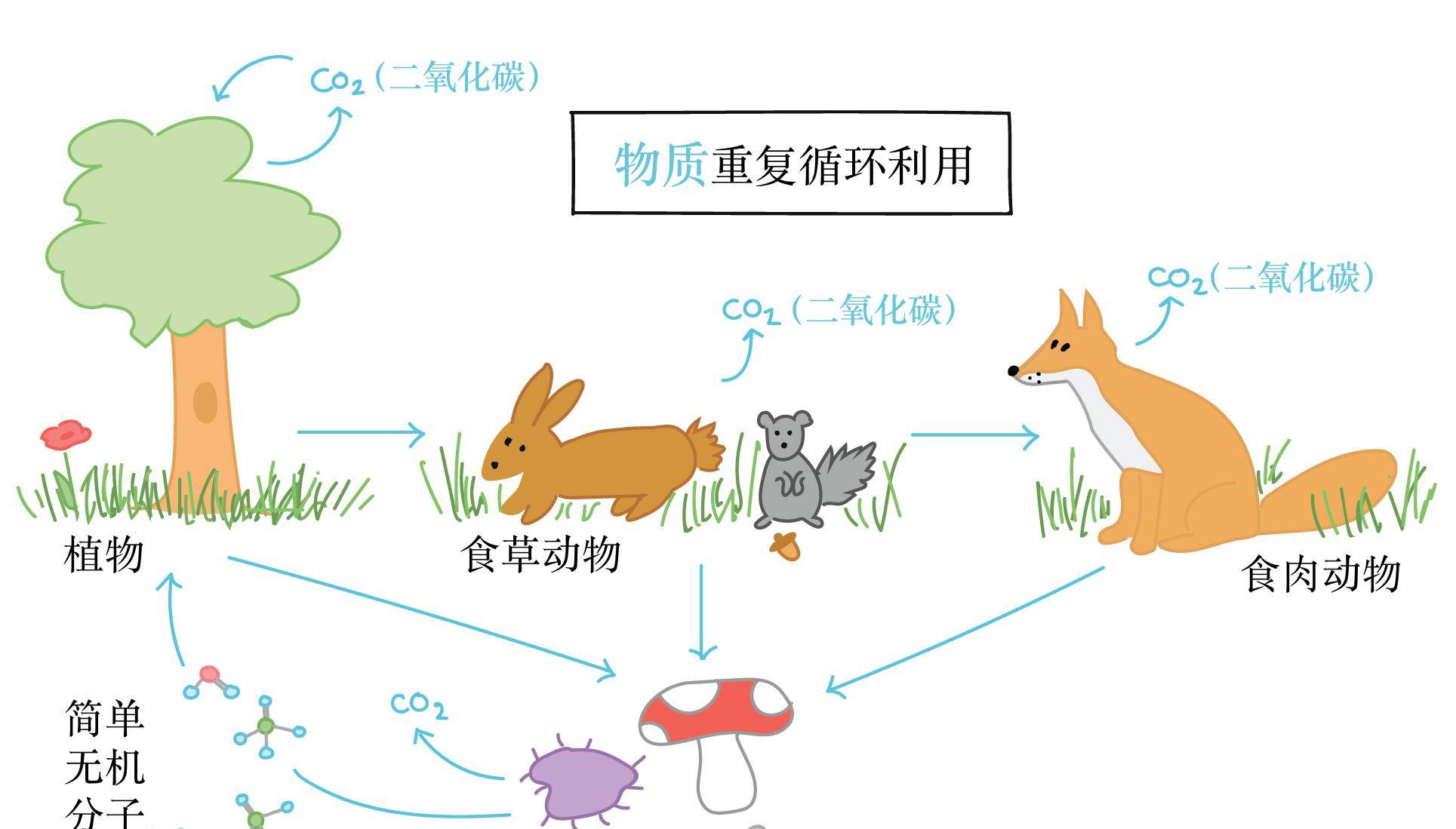 原创人类火化太浪费所有动物死后都会生态循环火化打破自然规律