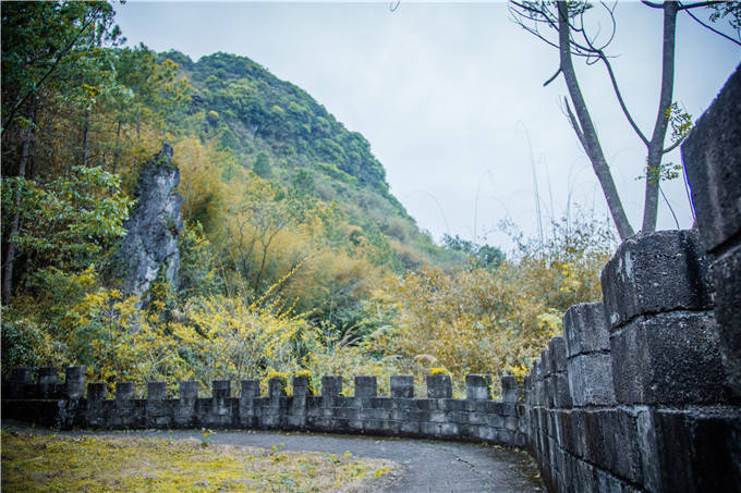 梅关古道建在粤赣交界的大庾岭上,位于江西省大余县与广东省南雄市