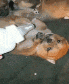 敬酒不吃吃罚酒,软的你不吃,非要来点硬的才知道我可怕!