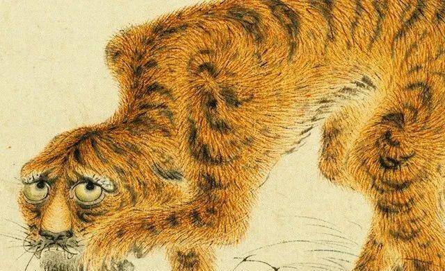 老虎被画成"病猫",为何被誉为传世名画?专家:放大5倍,看老虎表情