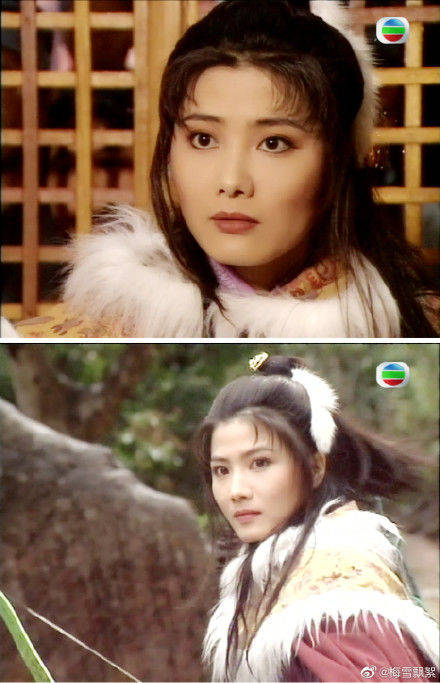 1995年与郑少秋主演的古装武侠剧《香帅传奇》为观众熟知,同年主演