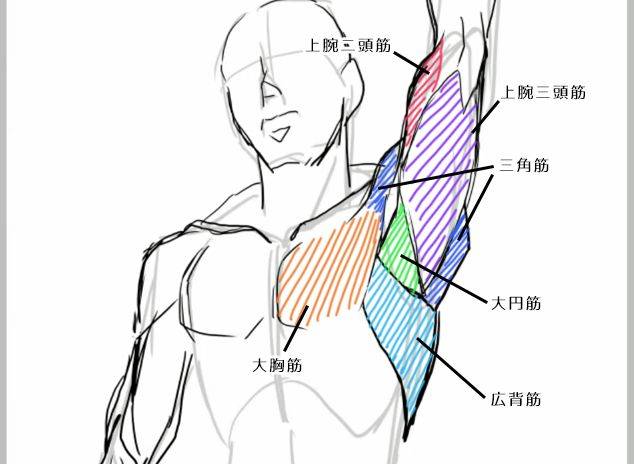 就算只画条纹也算不上好男人怎么画上半身肌肉