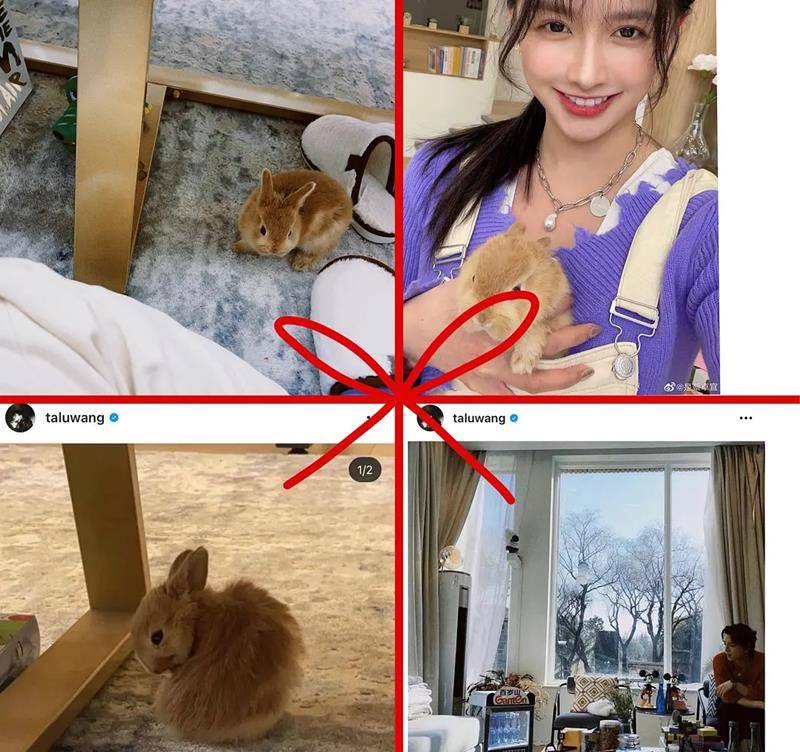 王大陆蔡卓宜街头拥吻疑恋情曝光,陈越微博沦陷,网友