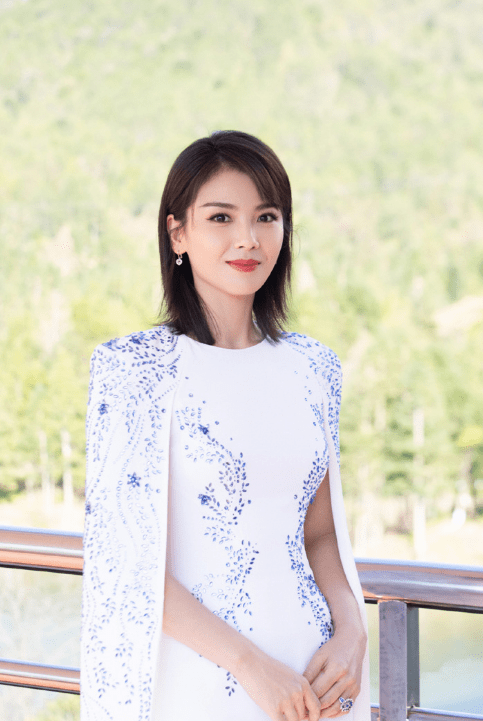 豪门 阔太 刘涛婚后都经历了哪些_王珂_生活_什么