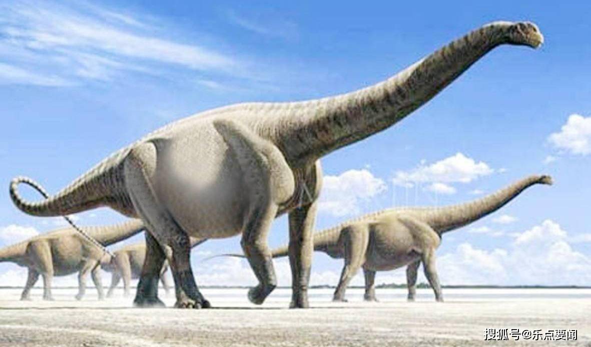 6500万年前恐龙并不是瞬间灭亡的这是一场持续数百万年的死亡