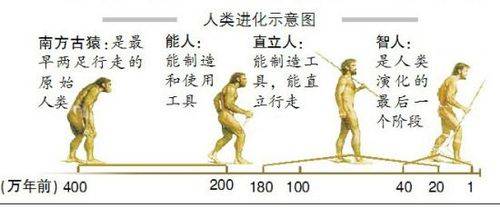 进化论的观点:人类以及其他动植物都是由简单的原始生命,一步一步进化