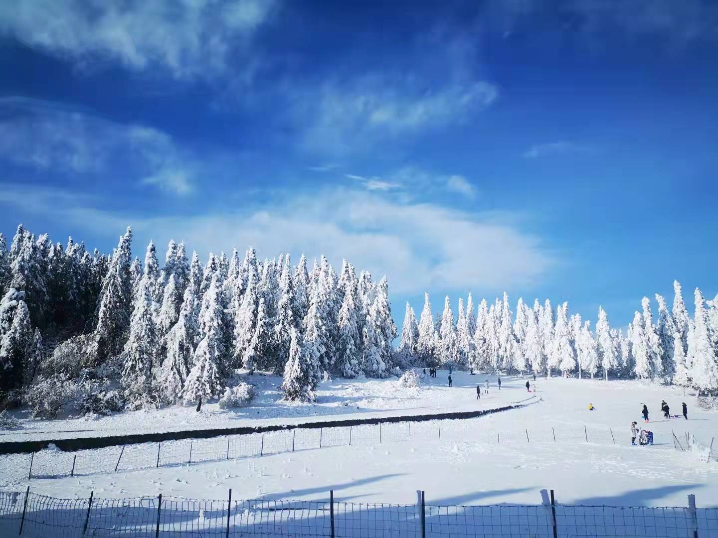 在这儿还能堆雪人,堆冰墩墩,滑雪板,滑雪圈和滑雪船……(图李鹏程摄)