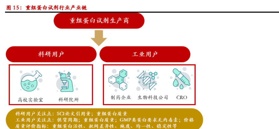聚焦工业端 全球化的双轮驱动,百普赛斯:重组蛋白业务