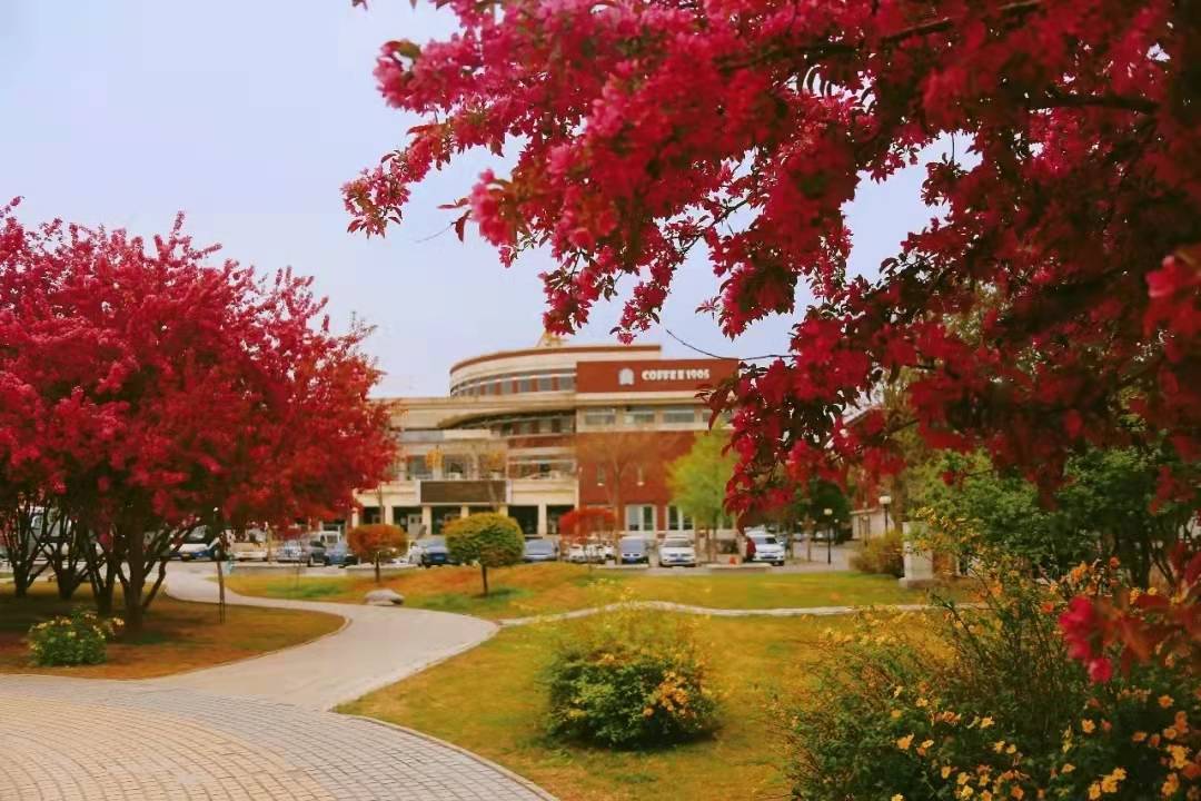 一起来聊聊,中国农业大学好不好?好在哪里?_教育_高校
