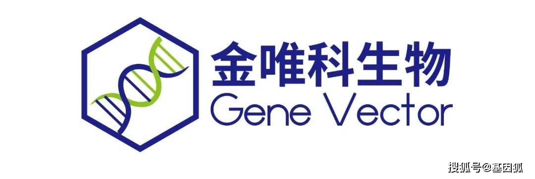 此轮融资由睿景投资,盈科资本,东湖高新,小明投资(ming capital,四川