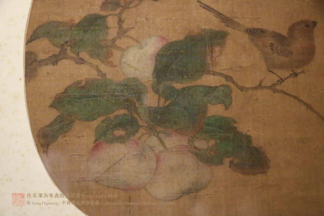 鸟值得一提的是,这幅团扇面与故宫博物院藏林椿《果熟来禽图(附图12