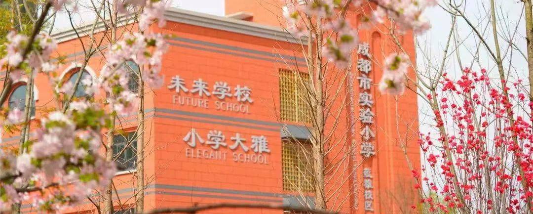 原创除了五朵金花成都各个区还有哪些公办小学值得考察