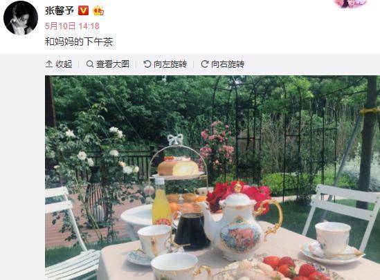原创张馨予晒自家豪宅大花园布置如世外桃源何捷家装修风格太独特