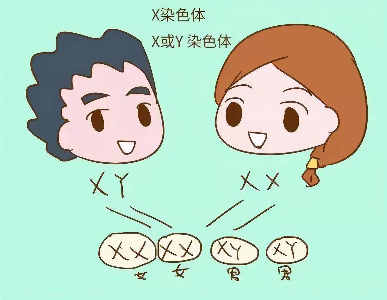 男孩智商100%遗传自妈妈？错！爸爸也功不可没