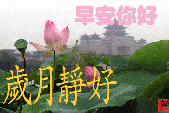 原创周二最新早上好漂亮图片大全早安问候祝福语早上好动态图片带字