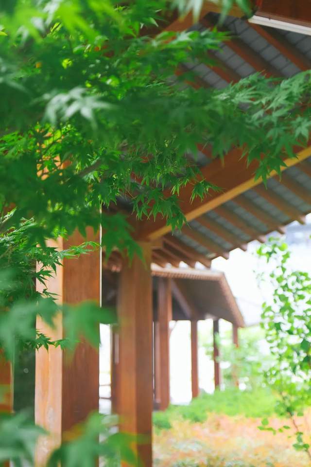 谷雨 雨生百谷润无声,园藏意境春景浓_春花_时节_诗意