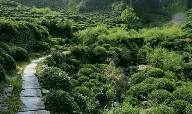 这里的松珍公路是在前香港著名工业家汪松亮先生和他的遗孀汪顾义珍