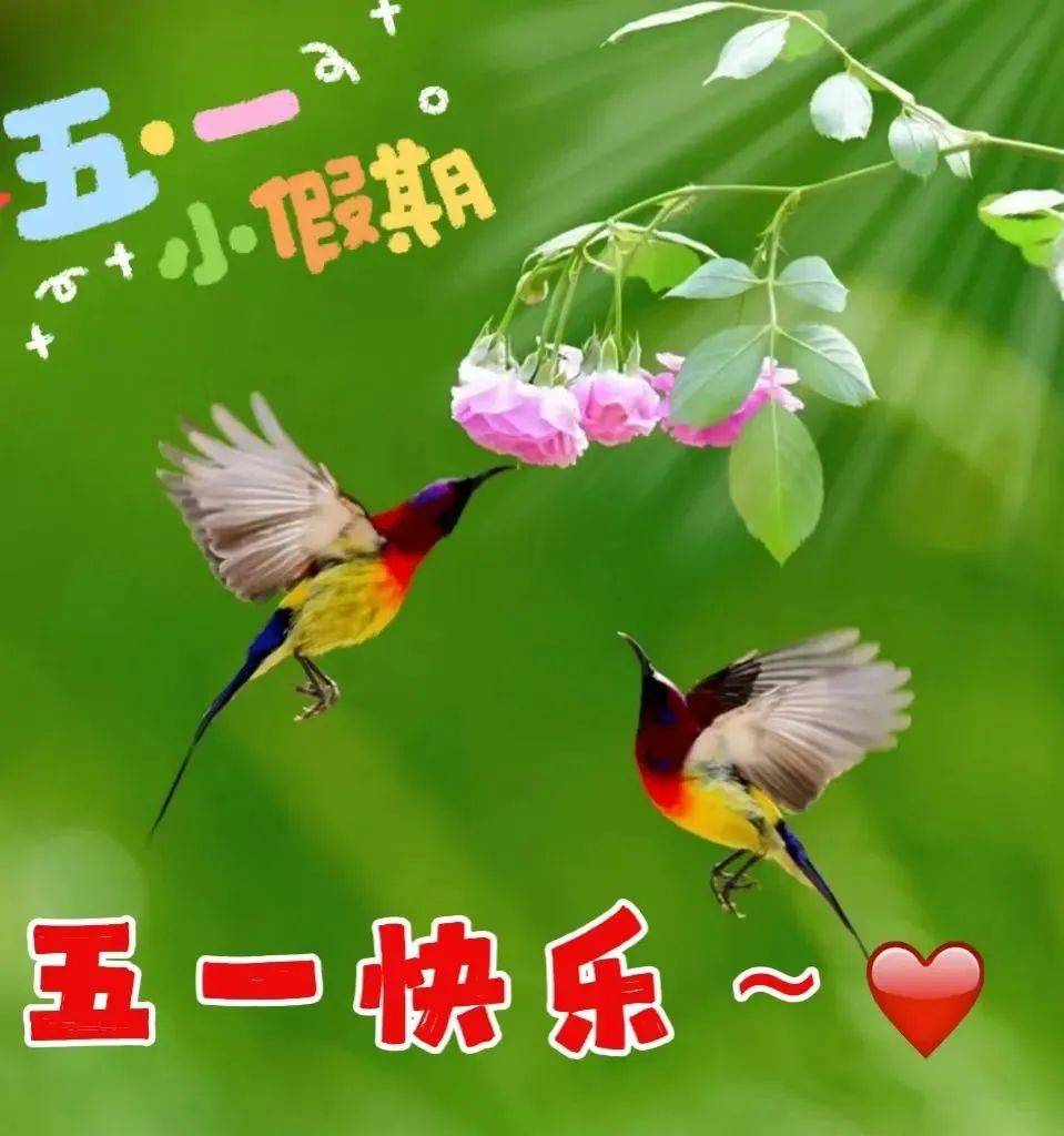 原创5月1日星期日劳动节早上好问候图片大全五一劳动节最新早安问候语