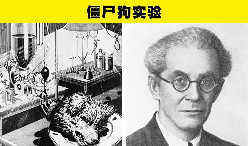 原创在科学历史上曾经进行过的7个太过于疯狂的实验