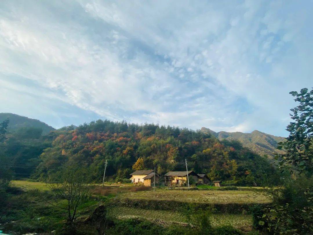 房县艺术区,活的山水画_流放_保康_尹吉甫