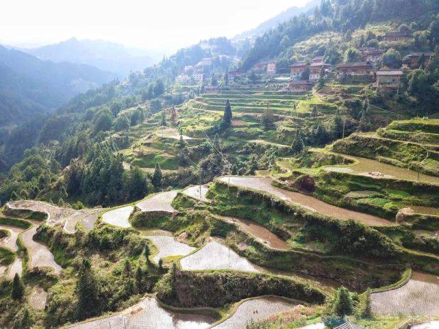 贵州醉美乡村黔东南雷山县白岩村白岩村旅游攻略白岩村住宿攻略